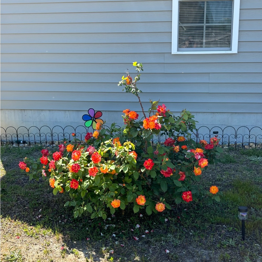 Welcome - Picture 1 of 1